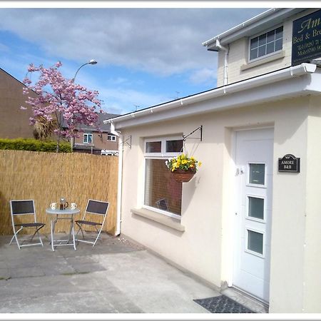 Amore Bed & Breakfast Londonderry Exterior photo